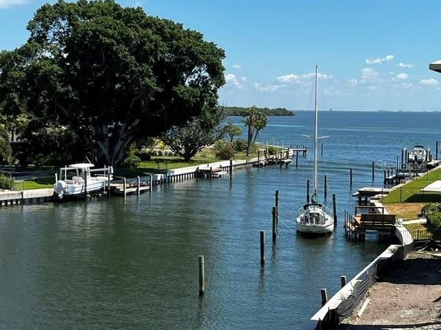 2051 Illinois Avenue Ne, Saint Petersburg, FL 33703 Photo