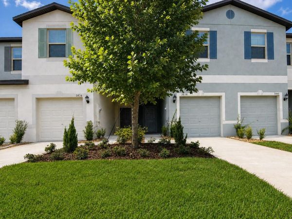 3838 CAT MINT STREET , TAMPA, FL 33619