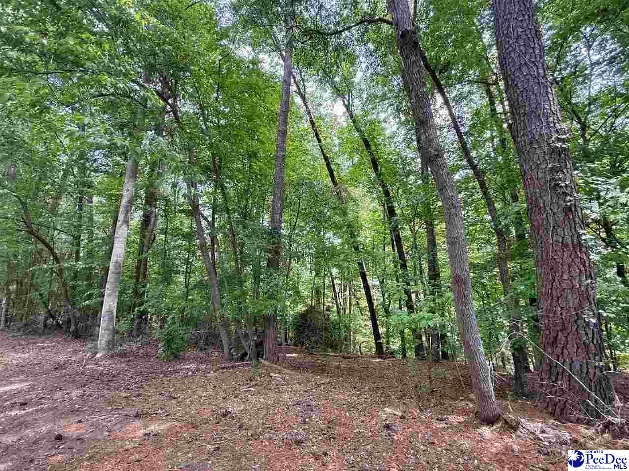 303 Park Lane Photo 10