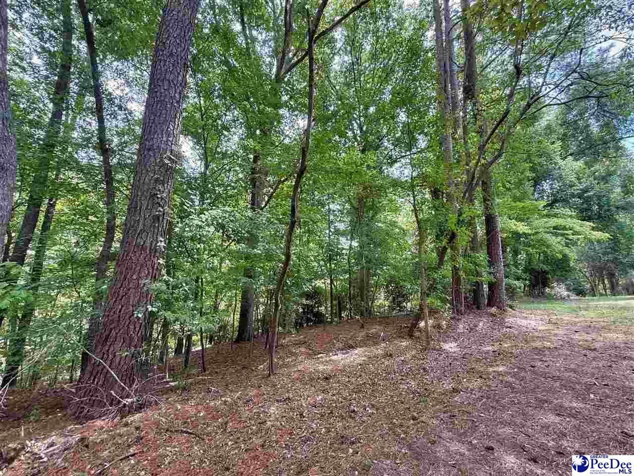 303 Park Lane Photo 11