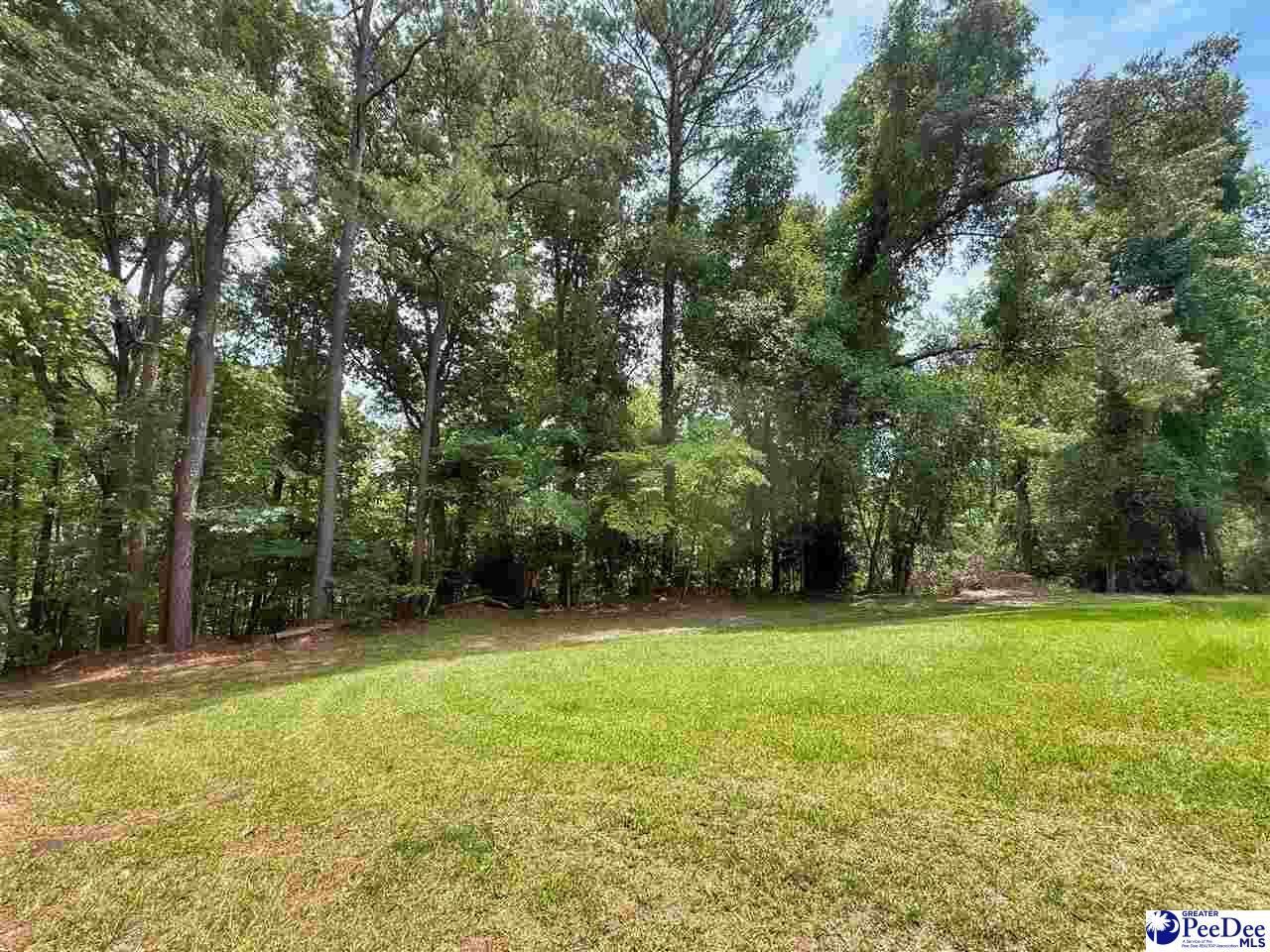 303 Park Lane Photo 8