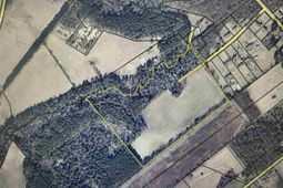 Mack Rd photo 4