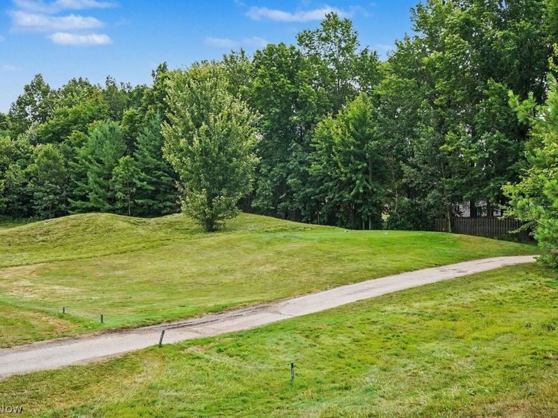 604 Rundle Street, Lagrange, OH 44050 Photo 39