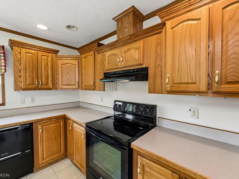 1705 W Steiner Road, Creston, OH 44217 Photo 13