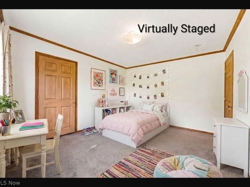 1705 W Steiner Road, Creston, OH 44217 Photo 23