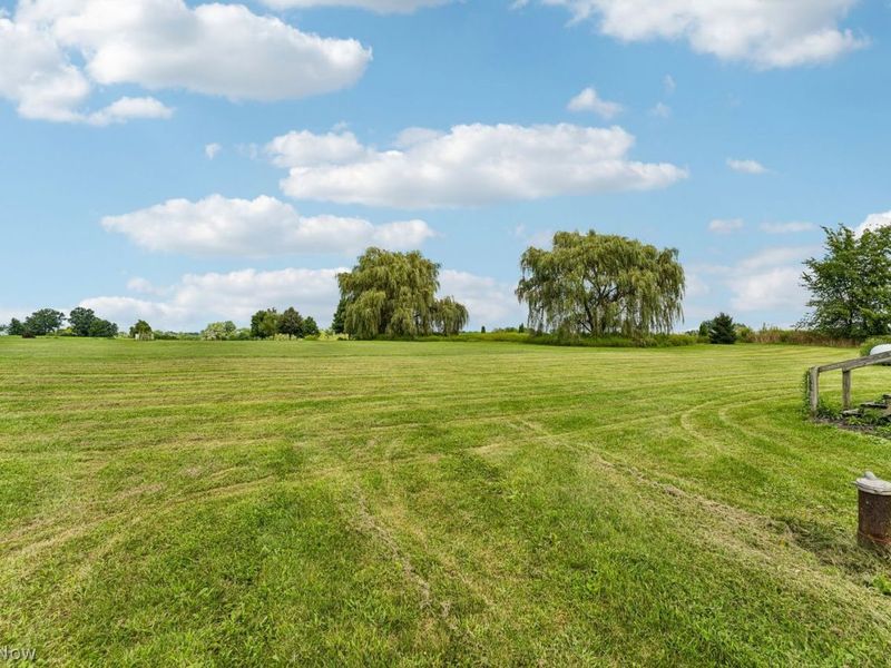 1705 W Steiner Road, Creston, OH 44217 Photo 22