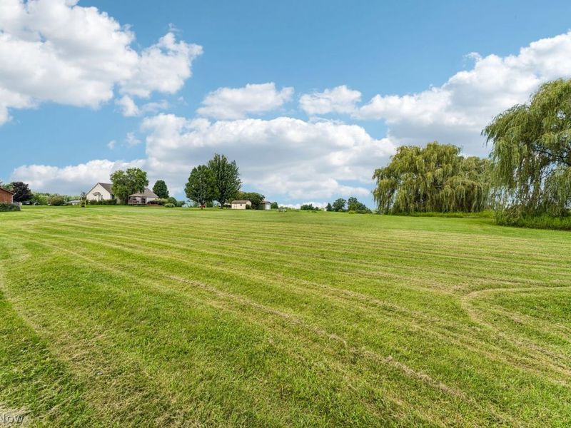 1705 W Steiner Road, Creston, OH 44217 Photo 24