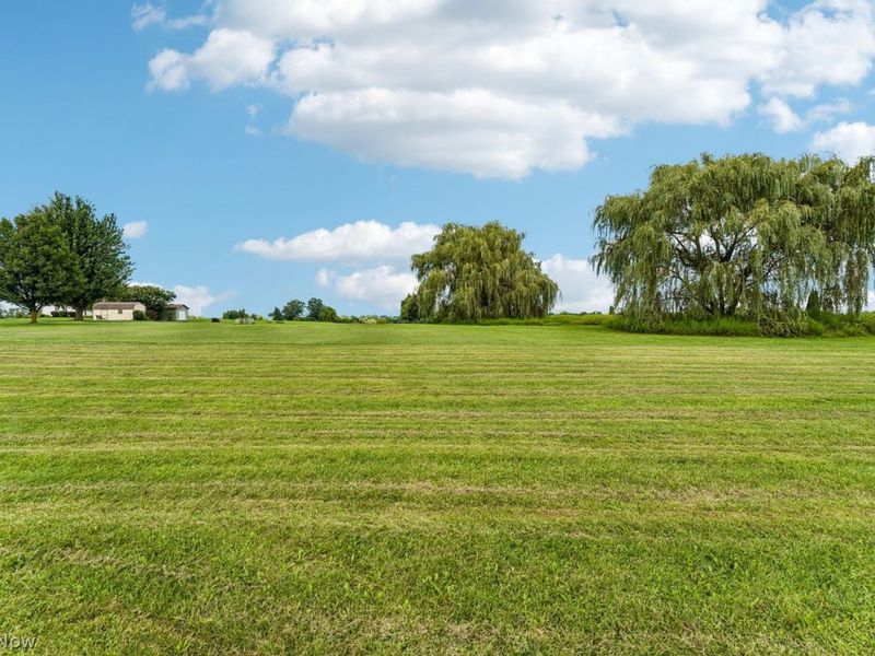 1705 W Steiner Road, Creston, OH 44217 Photo 25