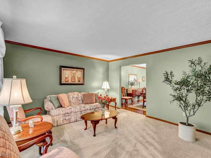 218 Simon Lane, Medina, OH 44256 Photo 6