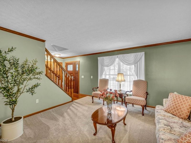 218 Simon Lane, Medina, OH 44256 Photo 8