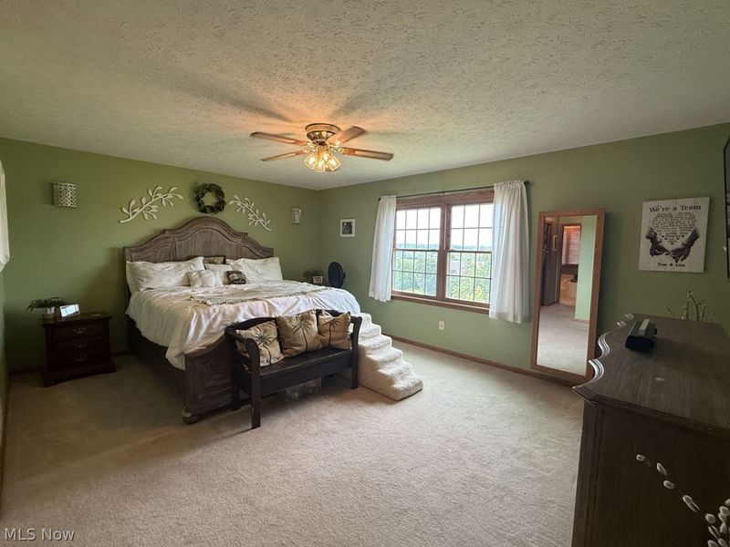 4054 Mallard Way, Wooster, OH 44691 Photo 32