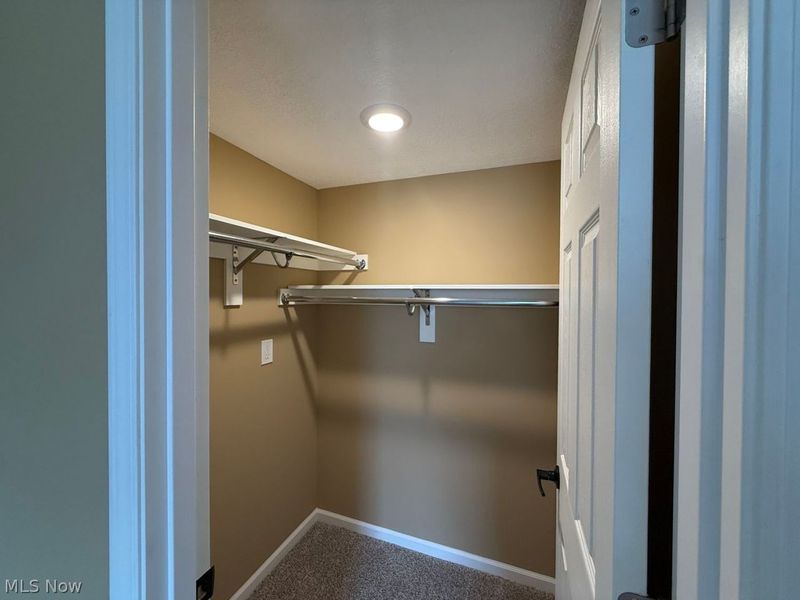 4054 Mallard Way, Wooster, OH 44691 Photo 49