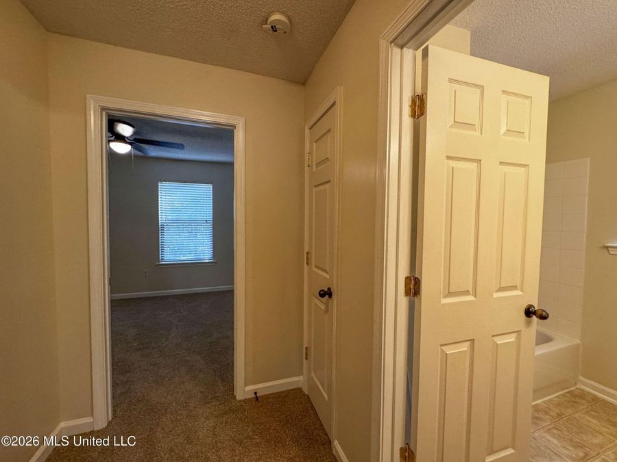 Property Image 87