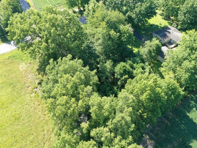 5447 St Rt 133, Jackson Township, OH 45176 Photo 9