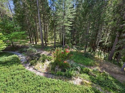 10433 Park Avenue Ext, Nevada City, CA 95959 Photo