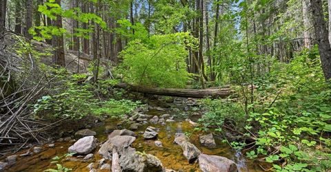 10433 Park Avenue Ext, Nevada City, CA 95959 Photo