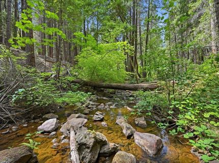 10433 Park Avenue Ext, Nevada City, CA 95959 Photo