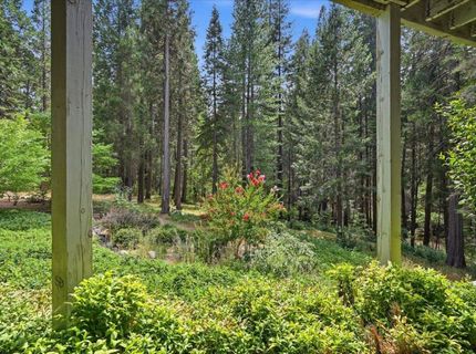 10433 Park Avenue Ext, Nevada City, CA 95959 Photo