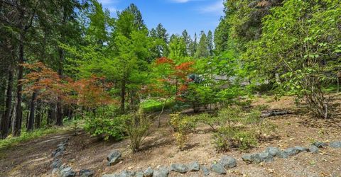 10433 Park Avenue Ext, Nevada City, CA 95959 Photo