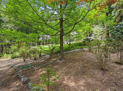 10433 Park Avenue Ext, Nevada City, CA 95959 Photo