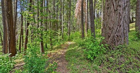 10433 Park Avenue Ext, Nevada City, CA 95959 Photo