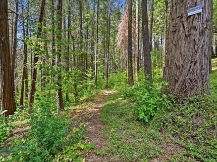 10433 Park Avenue Ext, Nevada City, CA 95959 Photo