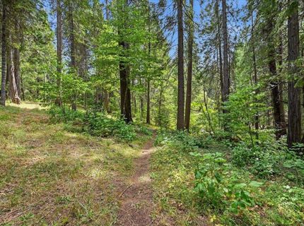 10433 Park Avenue Ext, Nevada City, CA 95959 Photo