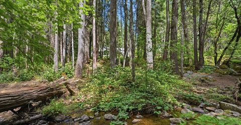 10433 Park Avenue Ext, Nevada City, CA 95959 Photo