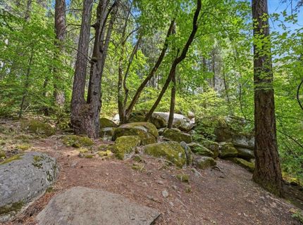 10433 Park Avenue Ext, Nevada City, CA 95959 Photo