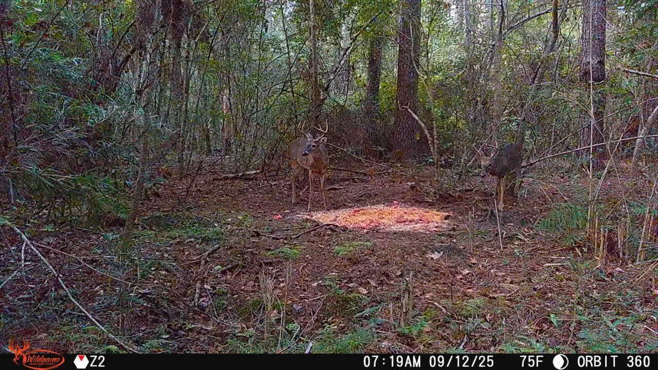 6400 Black Creek Rd.  Photo 10