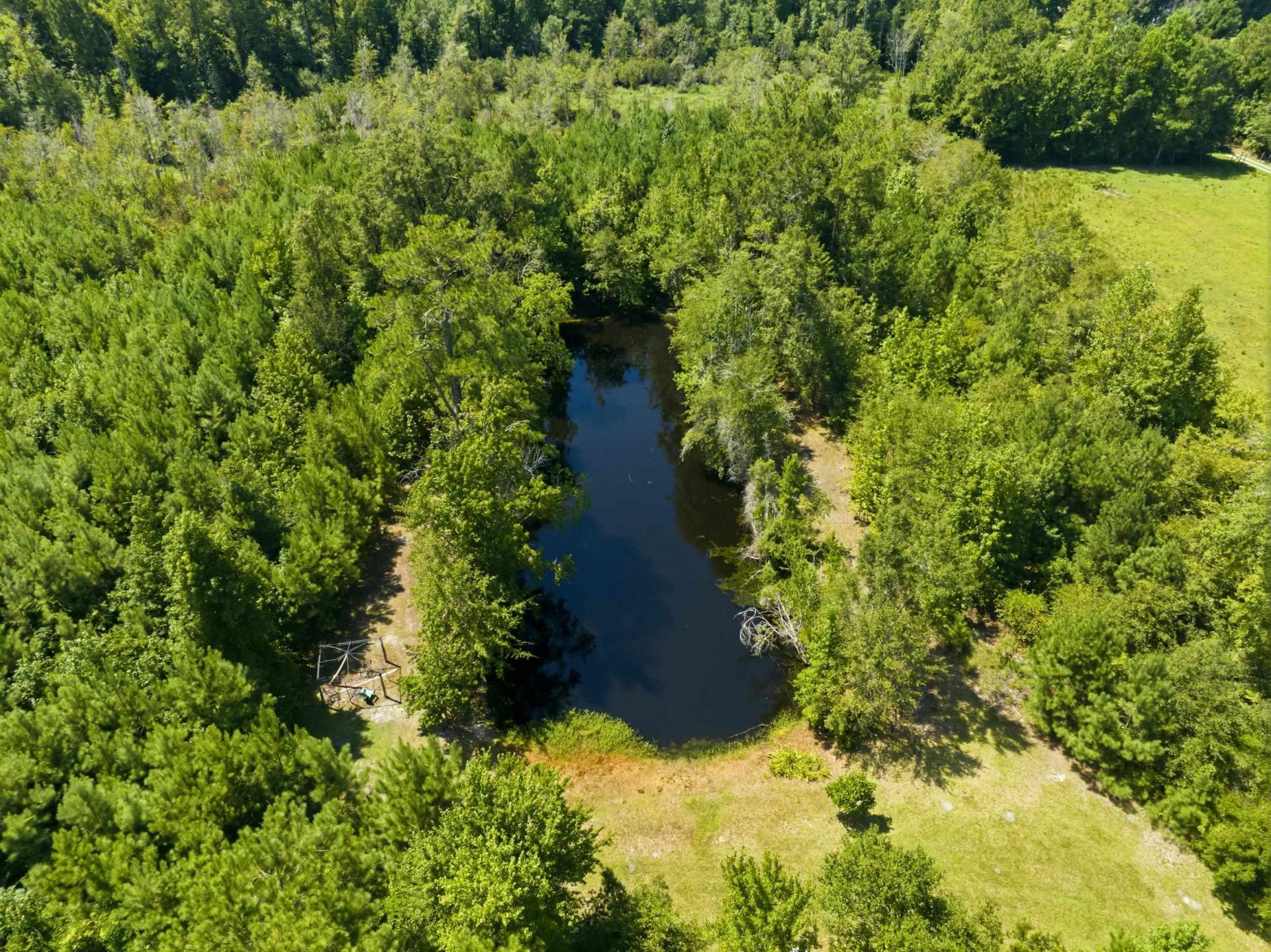 6400 Black Creek Rd.  Photo 11