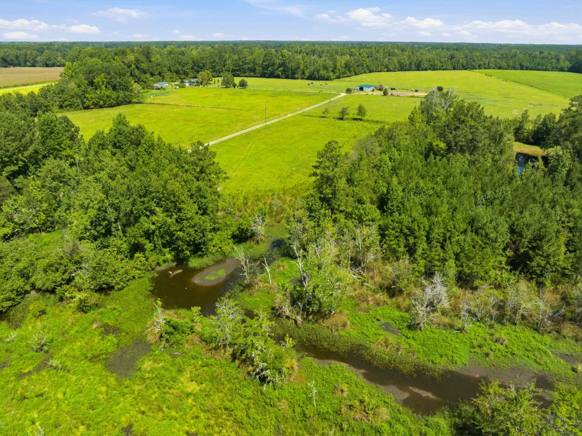 6400 Black Creek Rd.  Photo 12