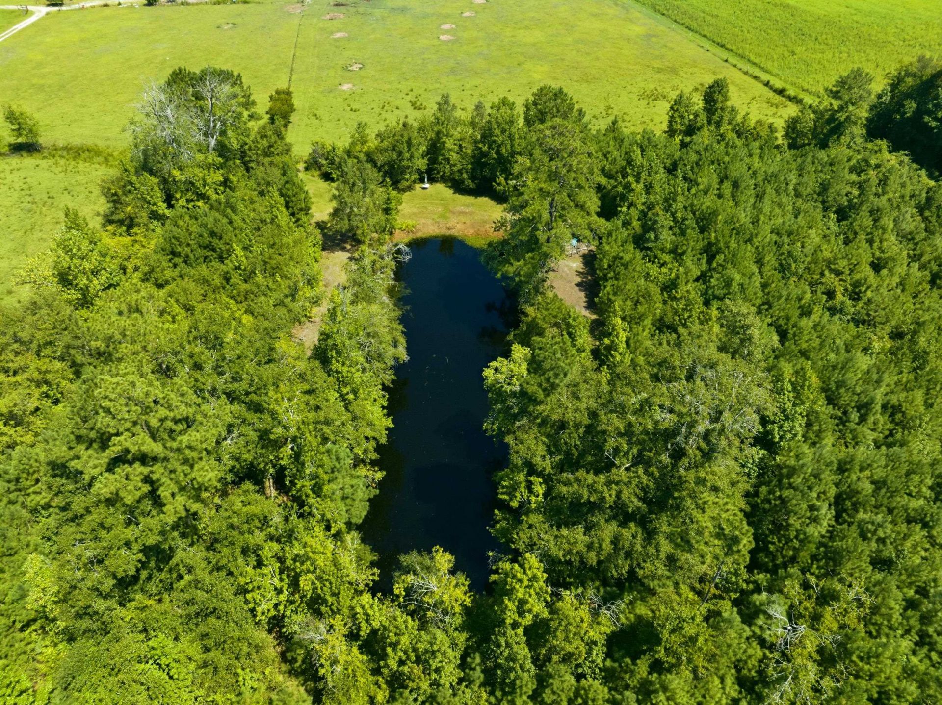 6400 Black Creek Rd.  Photo 23