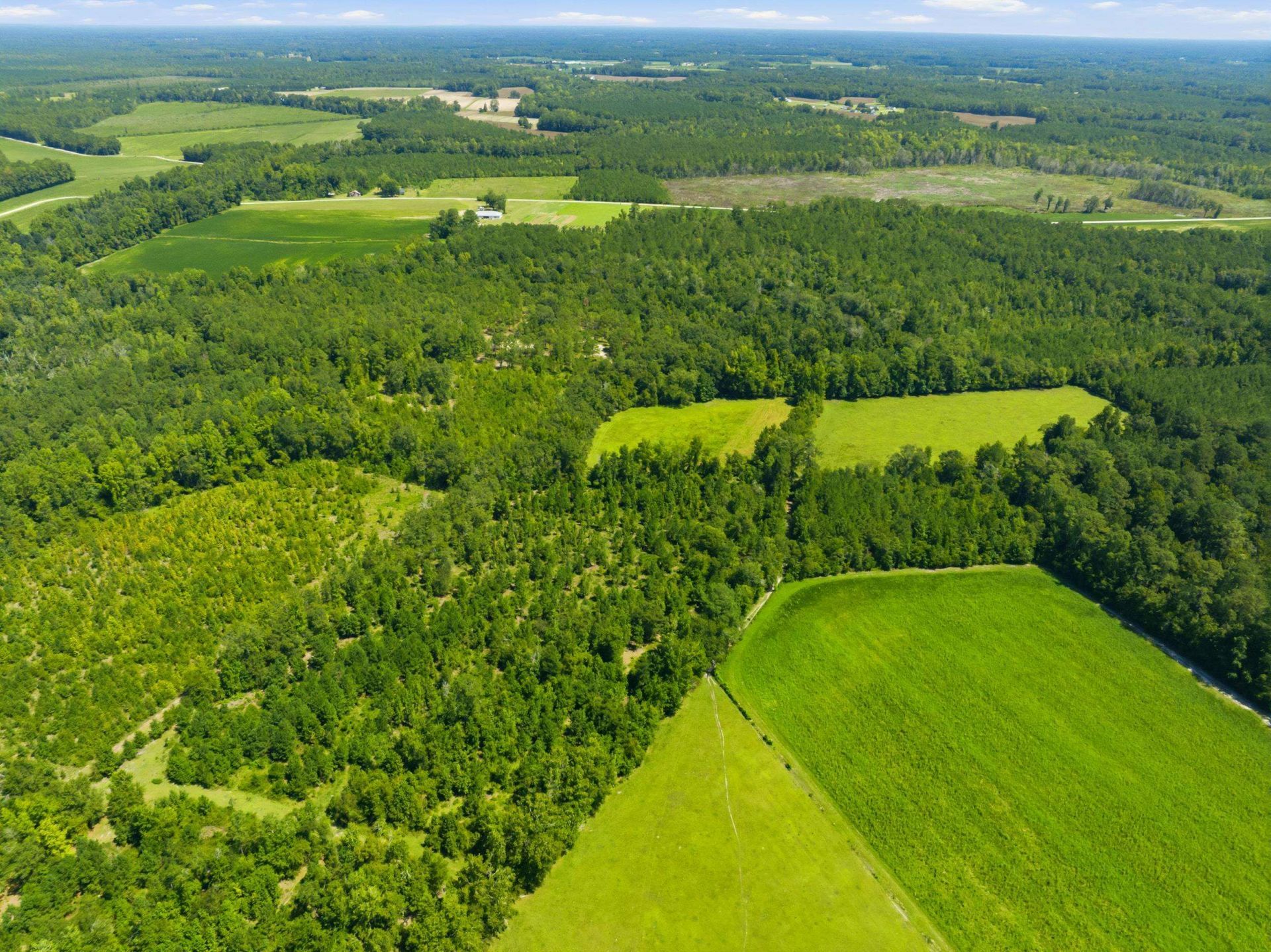 6400 Black Creek Rd.  Photo 24