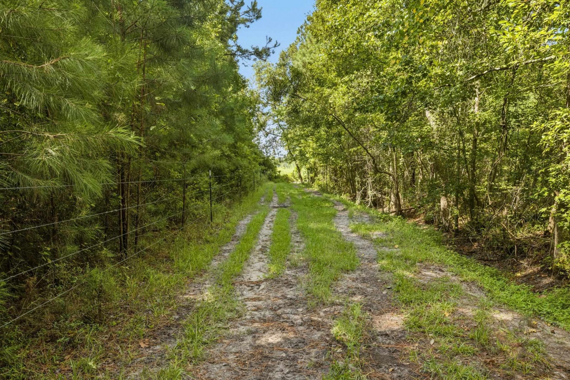 6400 Black Creek Rd.  Photo 34