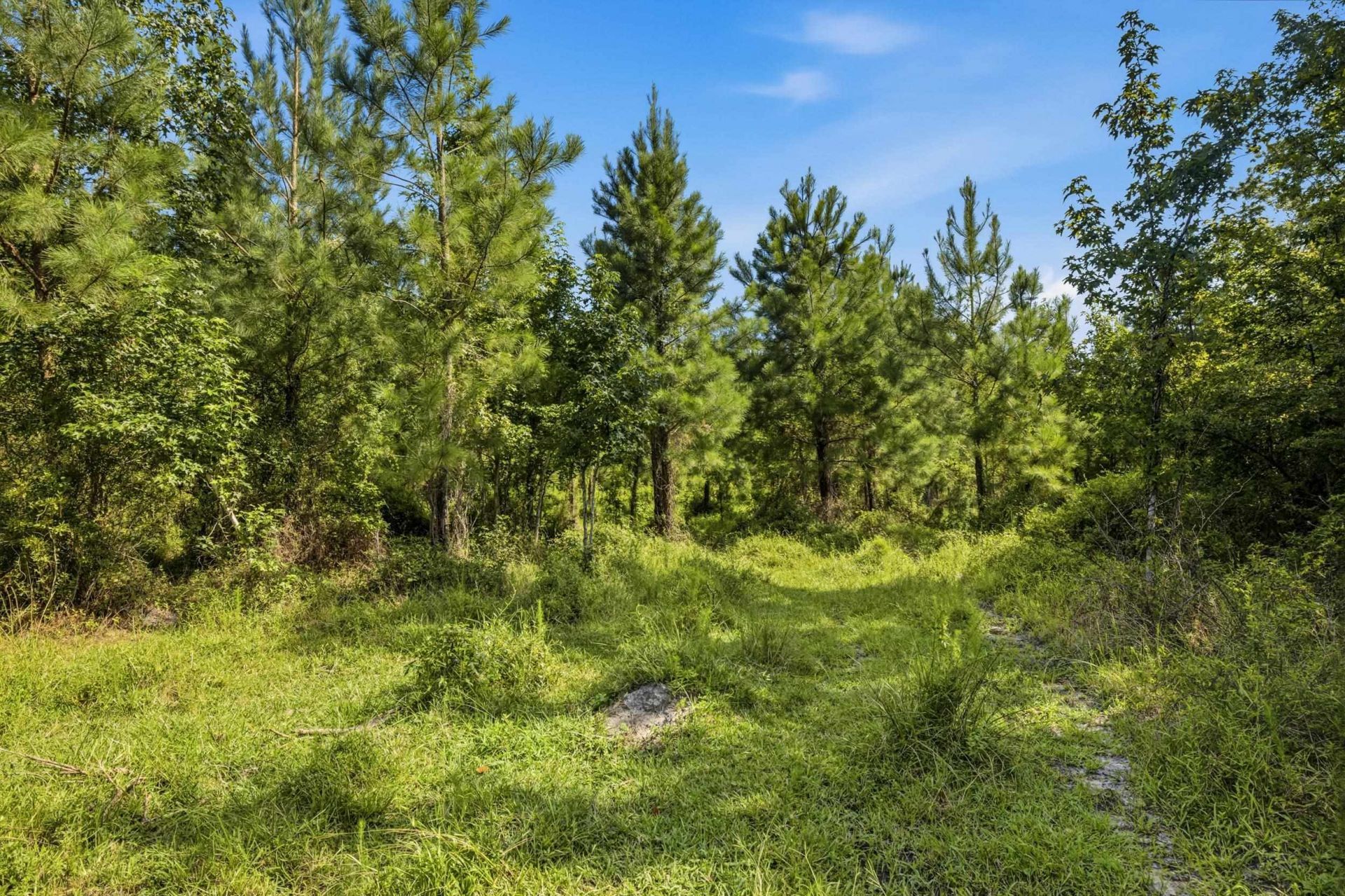 6400 Black Creek Rd.  Photo 35