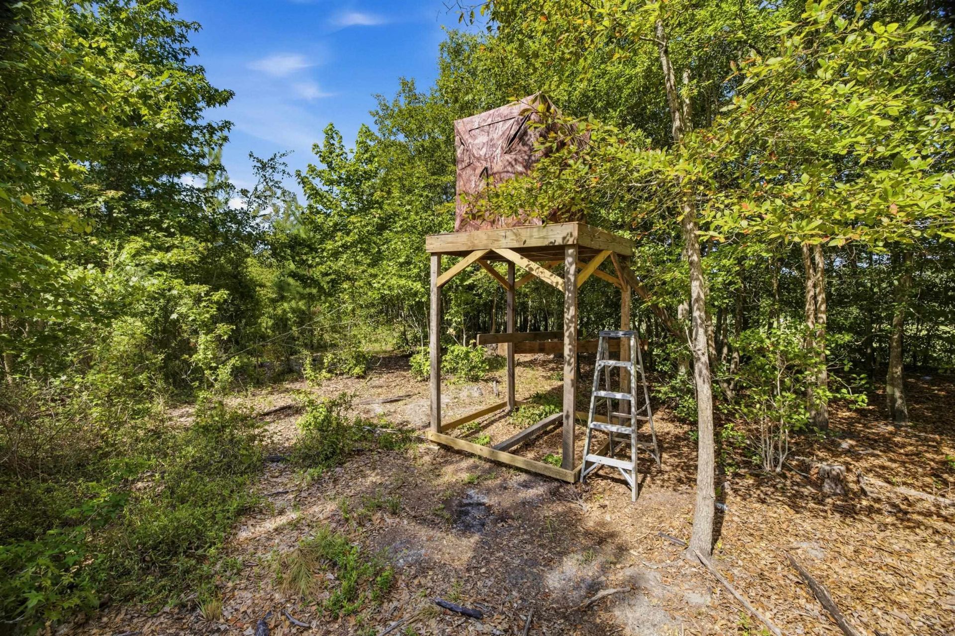 6400 Black Creek Rd.  Photo 36