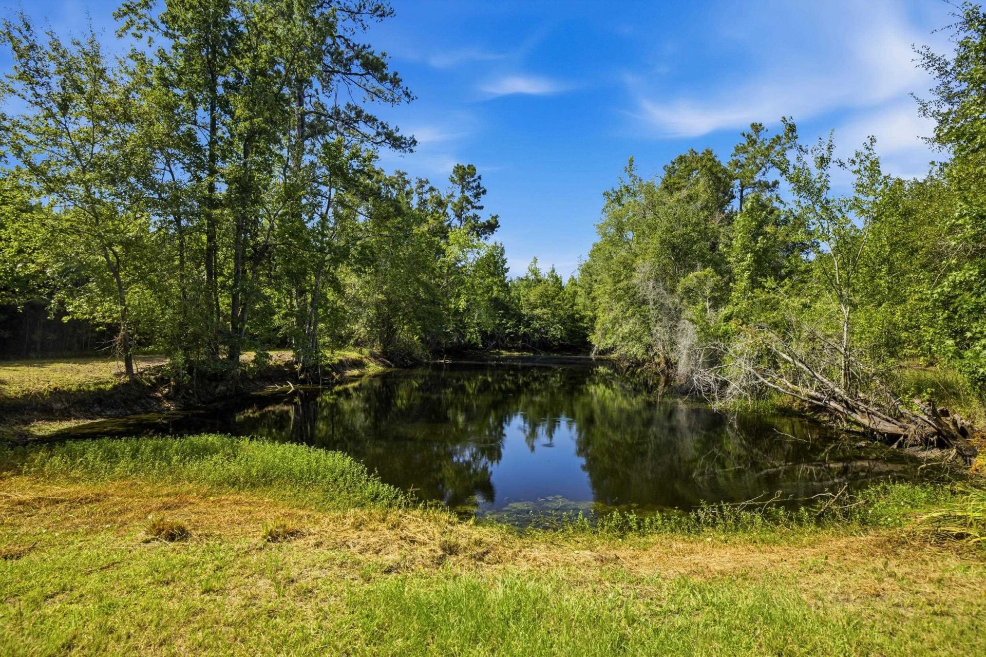 6400 Black Creek Rd.  Photo 38