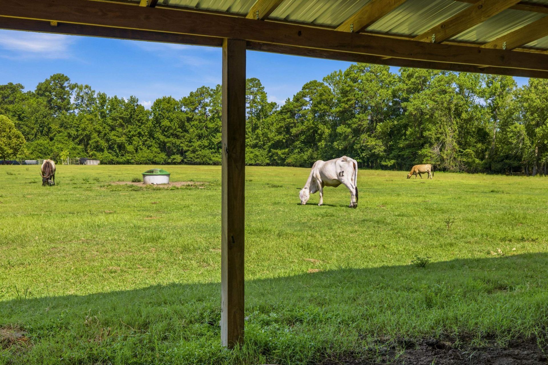 6400 Black Creek Rd.  Photo 40