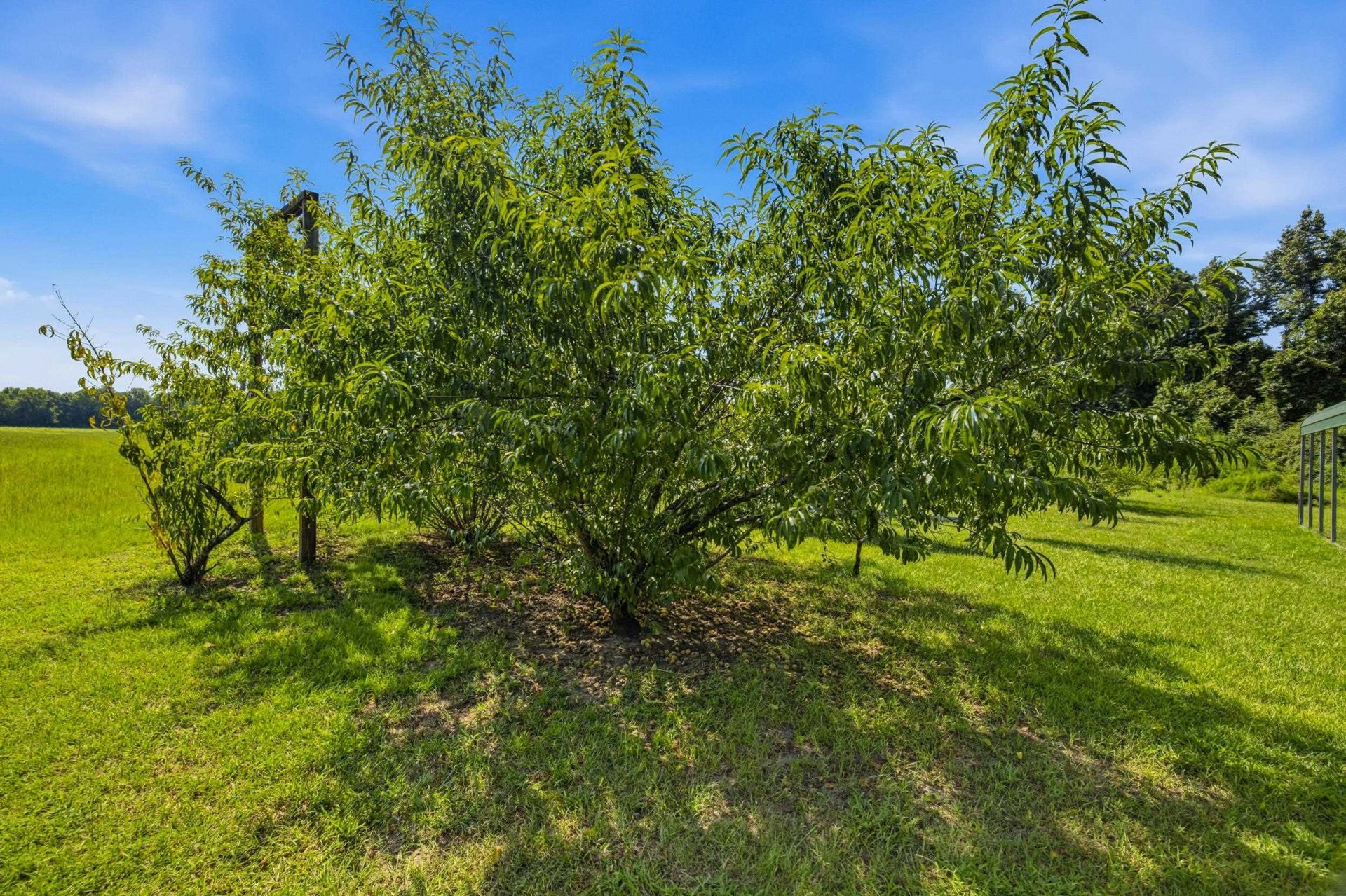 6400 Black Creek Rd.  Photo 44