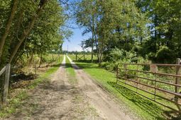 6400 Black Creek Rd.  photo 4