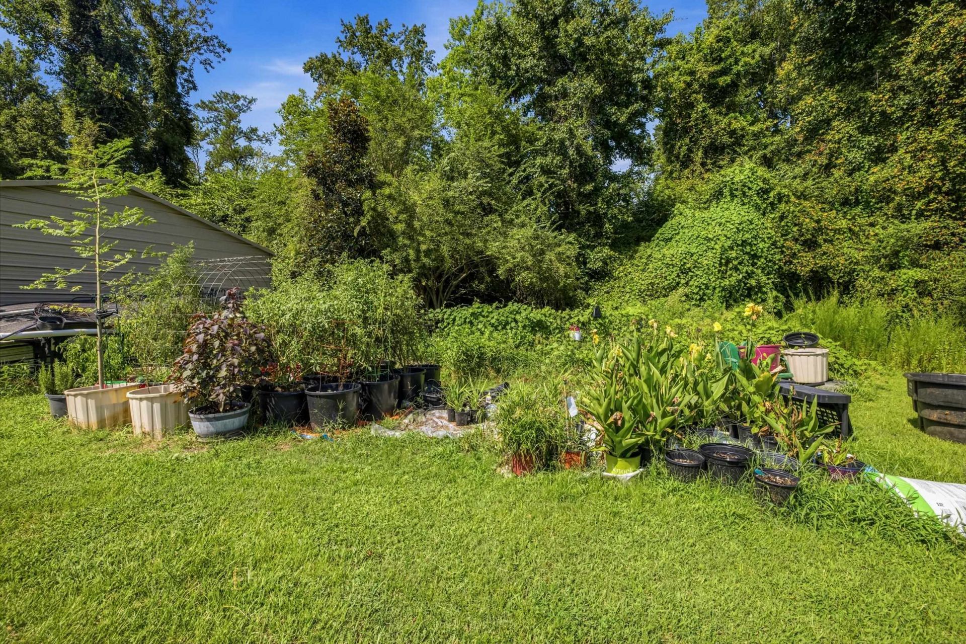 6400 Black Creek Rd.  Photo 61