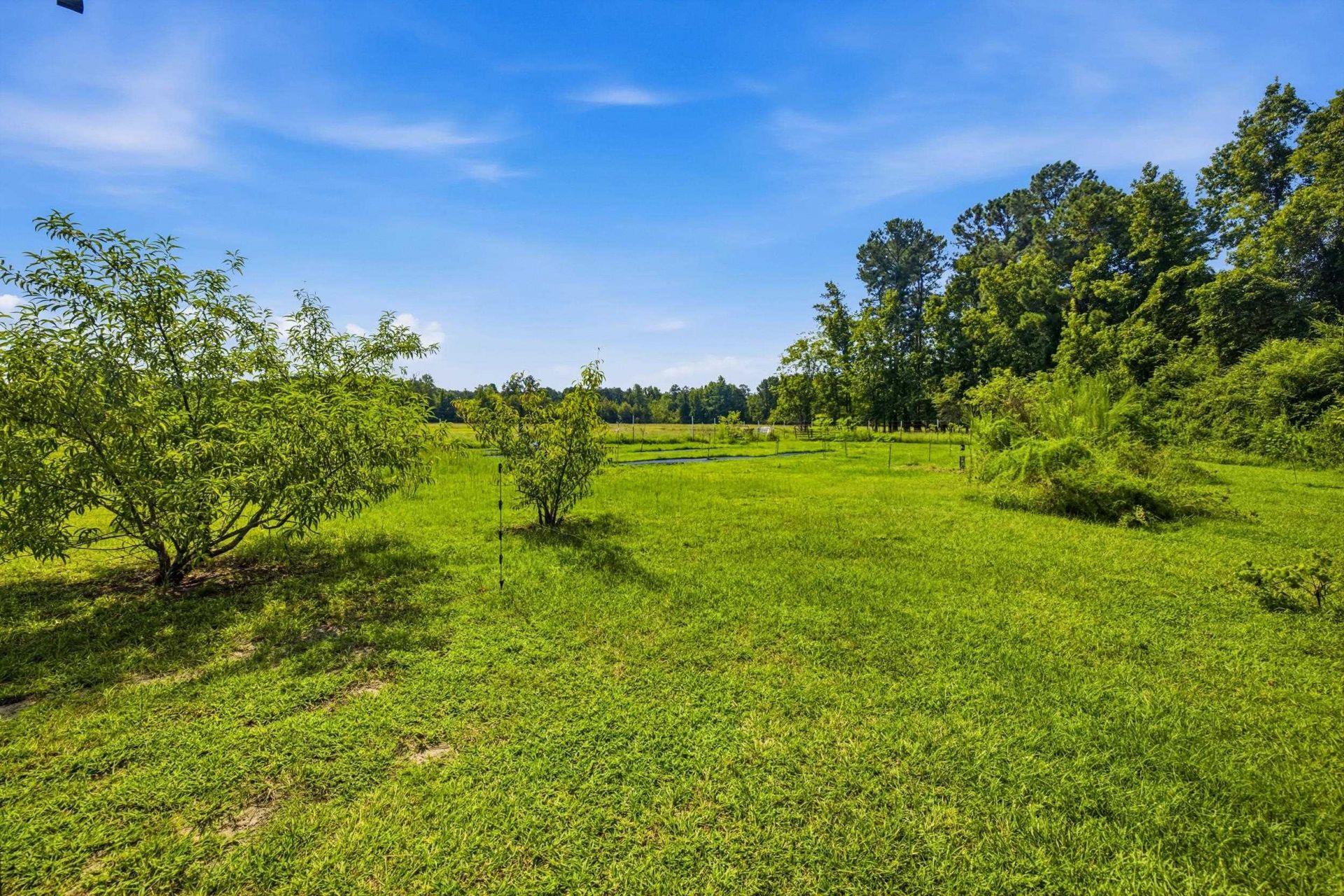 6400 Black Creek Rd.  Photo 64