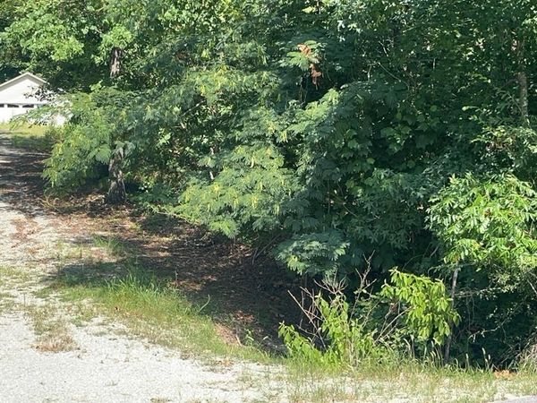646 Lake Front Dr, Russellville, AL 35653