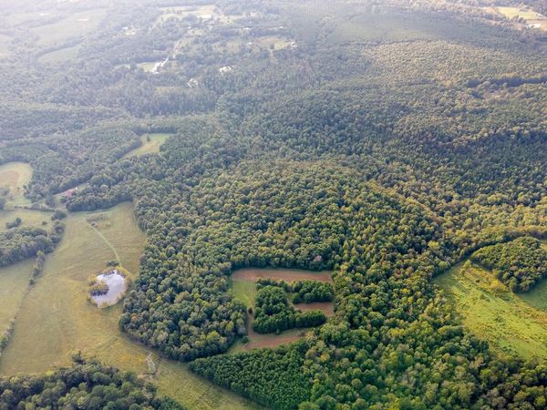 0 Underwood Mountain Rd, Tuscumbia, AL 35674