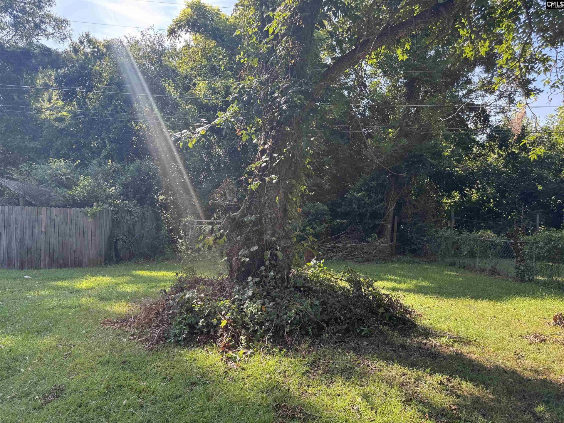 160 Willow Street  Photo 4