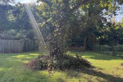 160 Willow Street  photo 4
