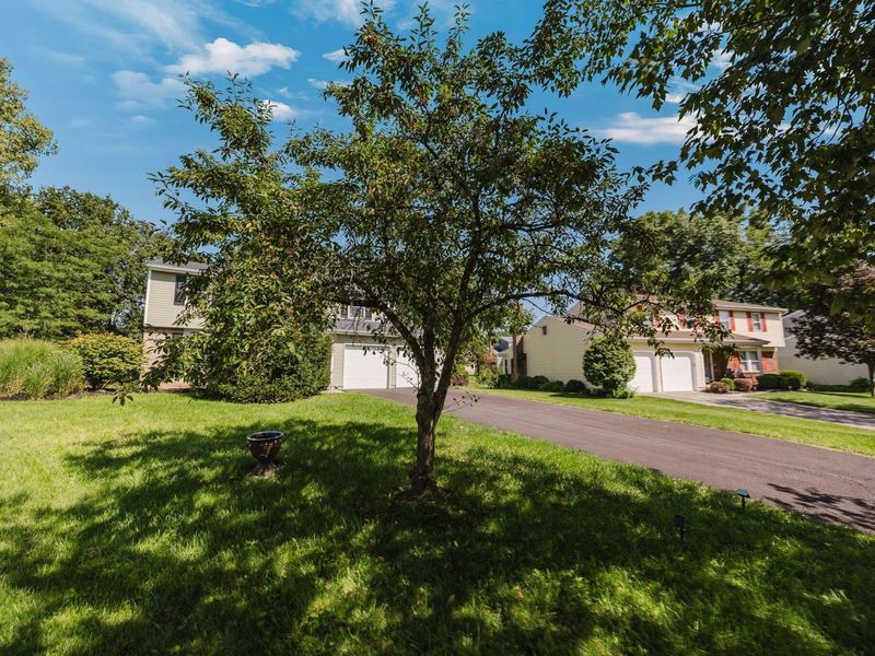 5298 Predmore Place, Columbus, OH 43230 Photo 59