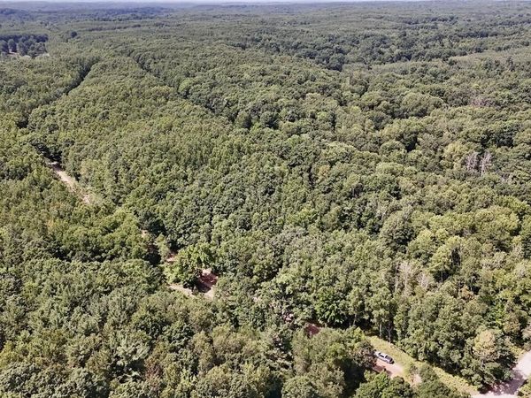 00 7 Mile Road, Evart, MI 49631