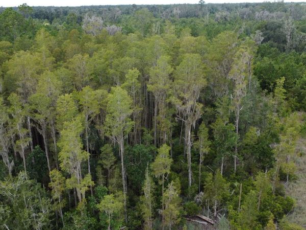 TBD 66TH STREET, Live Oak, FL 32060